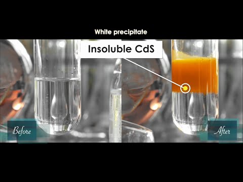 Does Sodium sulfide (Na2S) and Cadmium carbonate (CdCO3) form a precipitate? | Na2S+CdCO3