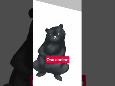 6.oso andino de jujuy #dibujodigital #ibispainx #Argentina #jujuy