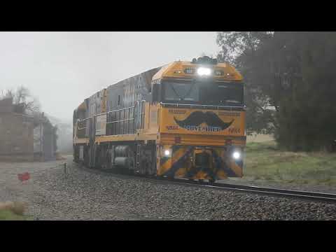 NR66 "Movember" leading Trains around Adelaide!
