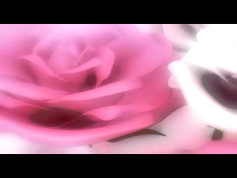 Razbudi se... Daniela Pancetović