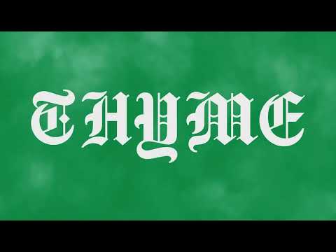 Wavvy - Thyme (Lyric Video)