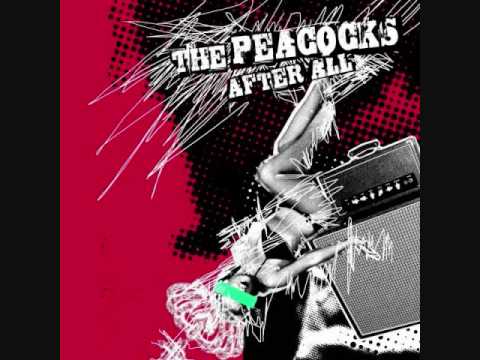 The Peacocks- Not Your Man