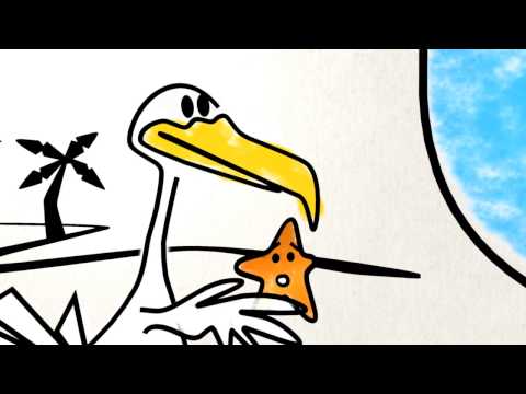 Beached Az - The Starfish HD