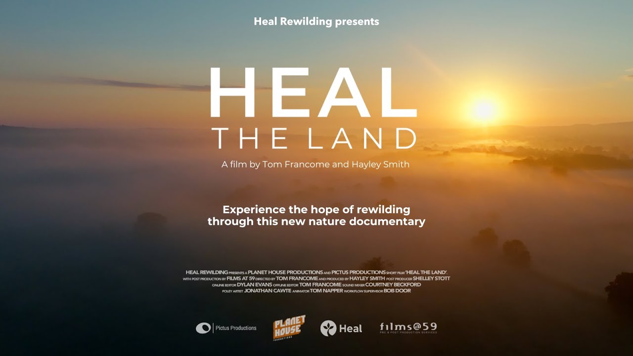 Heal the Land