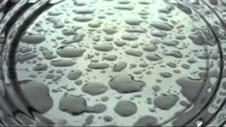 Juliane Werding Sehnsucht ist unheilbar