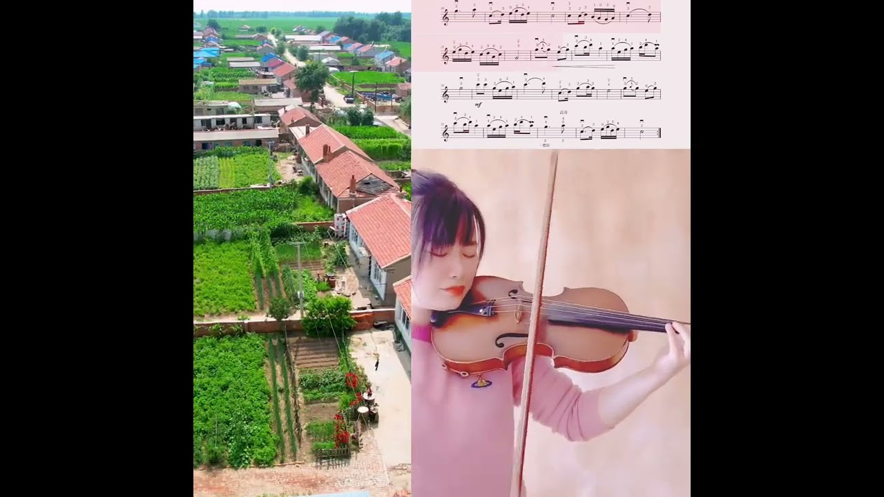 violin