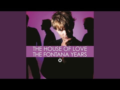 Baby Teen - The House of Love