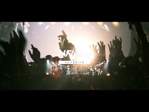 Video thumbnail for Songbird