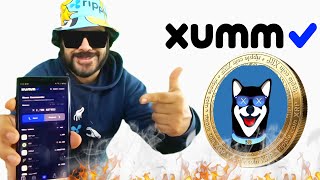 HOW TO BUY/SELL XRP TRUSTLINES & VIEW BALANCE ON XUMM