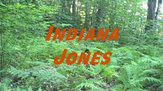 preview picture of video 'Indiana Jones [Part-1]'