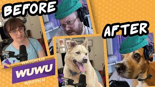 SHOULD OUR DOGS READ YOUR COMMENTS? - Watch Us Watch U