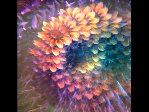 Dickster, Perfect Stranger - Timeslip