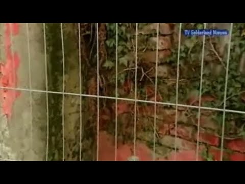 GLD Nieuws 25 januari 2008 - Nieuws