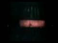 Babasonicos - Luna park 2006 - (Falsario)