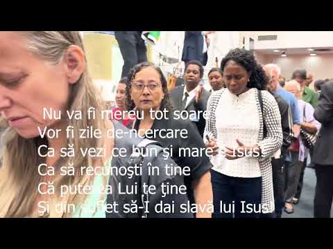 Tu esti floarea din gradina -Cover