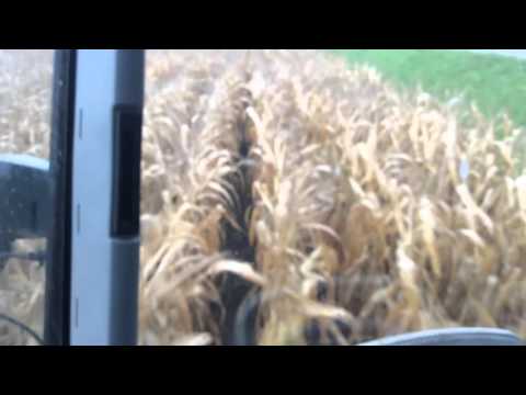 Dorsen met Marc de ridder