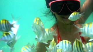 preview picture of video 'BUCEO / MERGULHO @ PARIPUEIRA, MACEIÓ, ALAGOAS, BRASIL'