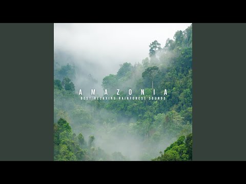 Wild Sounds of the Jungle