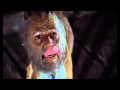 El-P: How to Serve Man (the meanest things I'd never say)