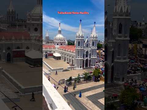 Vailankanni | Shrine  Basilica #live #vailankanni #velankanni #shorts #youtubeshorts #ytshorts #1k