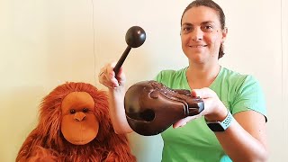 Video thumbnail for Temple block, wooden fish, muyu, mokugyo by Musical Monkeys