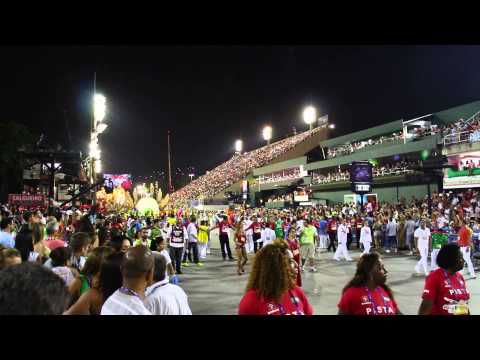 Entrada do Salgueiro na Sapucaí em 2014