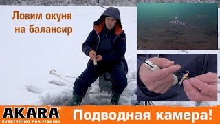 Ловля окуня на балансир зимой в карелии