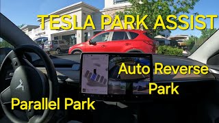 Tesla Introduces Park Assist Parallel Park Auto Reverse Park v 12.3.6 HW3 & HW4