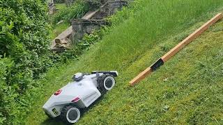 Mammotion Luba 2 AWD 3000 robotic lawn mower extreme test, steep slope, high grass. #mammotionawards
