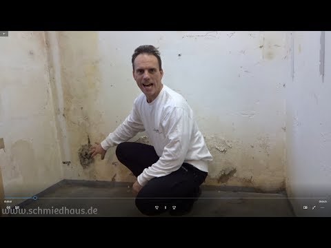 Schimmel an der Wand dauerhaft entfernen