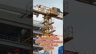 Grua de torre Zoomlion | Imagem 4 - Machineryline