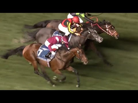Mishriff is a worldwide superstar! Group 1 Dubai Sheema Classic full replay