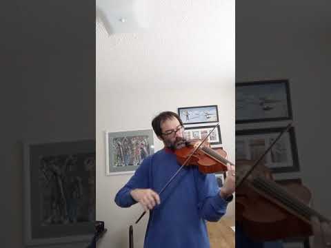 Carlos Konstanski plays Vivaldi viola damore d major mvt 1