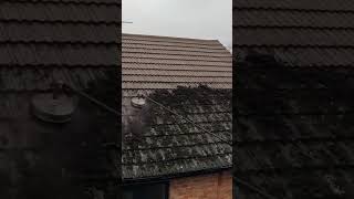 Removing a mountain of moss from this roof!😱