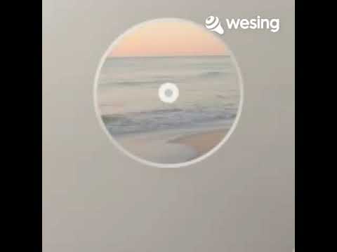 Ingat-ingat lalat - Earon Ronan