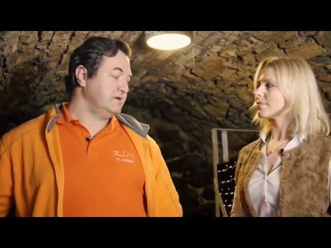 Za vinařem na skleničku - Platí pravidlo, čím dražší sekt, tím kvalitnější ?