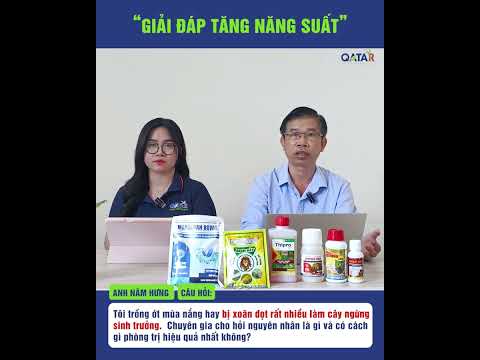 Giải đáp tăng năng suất số 2