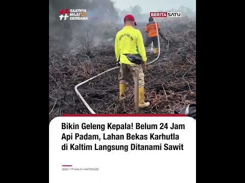 Lahan Baru Padam, Relawan Temukan Bibit Sawit dan Patok
