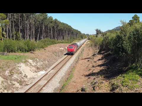 Comboio n.º 65130 - Moledo