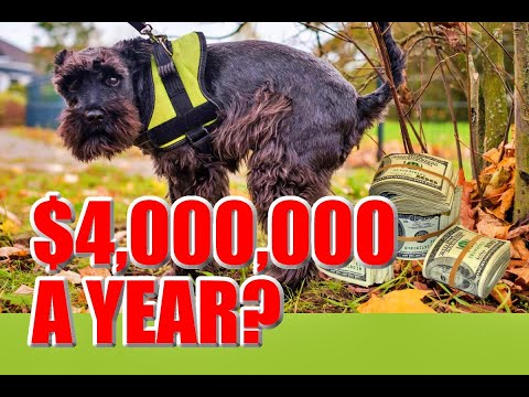 , title : '4 Million a Year Picking up Dog POOP? Small Business Ideas'