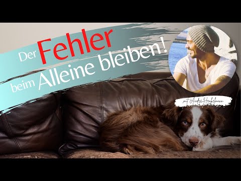 Darum klappt dein Training zum Alleinebleiben nicht! (Profi-Tipps)