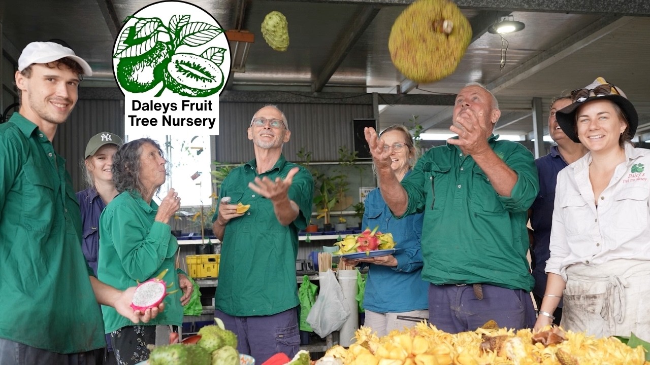 Watch the Daleys Fruit Tree Nursery Channel 9 and WIN Television advert