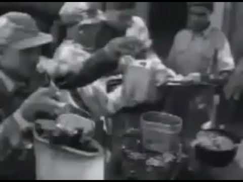 free arabian legion soldiers footage (date and location unknown)