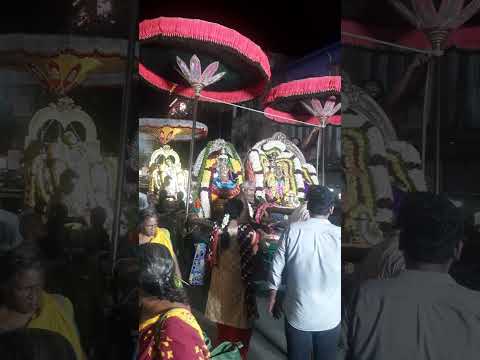 velleswarar temple Mylapore Vasantha Vizha