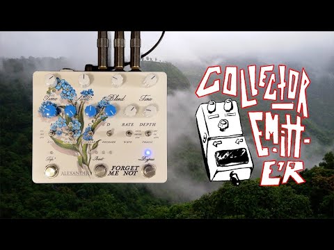 Alexander Pedals Forget-Me-Not Digital Multi-Head Delay Line image 3