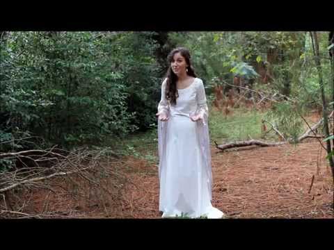 The Hobbit Fan Fellowship Entry - Julia Smith