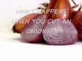Why do onions make us cry pdf
