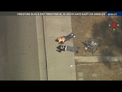 FULL CHASE: Burglary suspect leads police on high-speed chase through LA