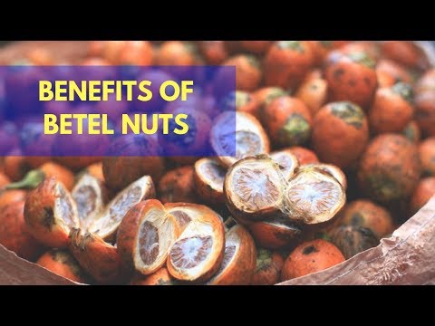 Amazing benefits of betel nuts