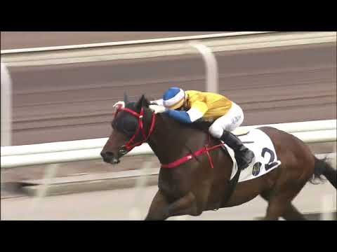 23/1/2022 (363) Pins Prince - J Moreira